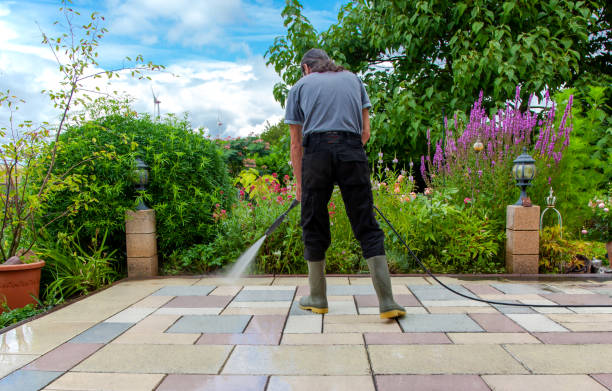 Best Animal Enclosure Cleaning  in Plymouth, NC
